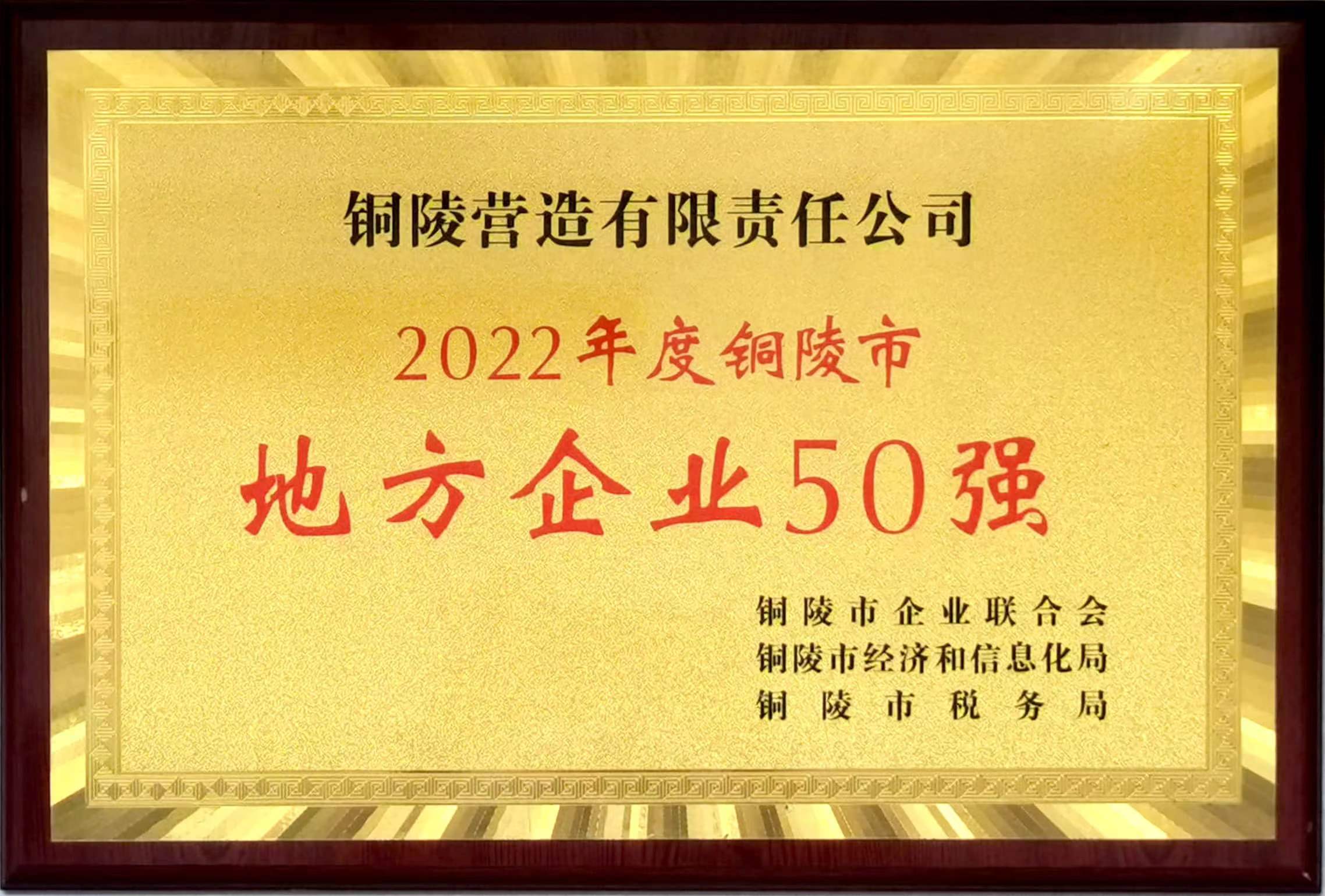 2022年度铜陵市地方企业50强