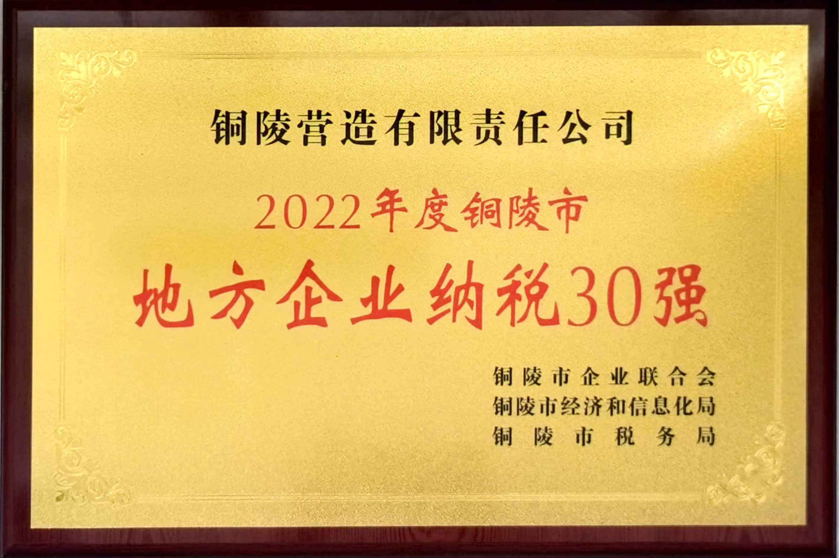 2022年度铜陵市地方企业纳税30强