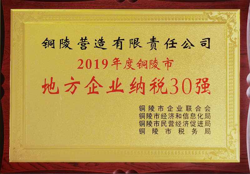 2019年度铜陵市地方企业纳税30强