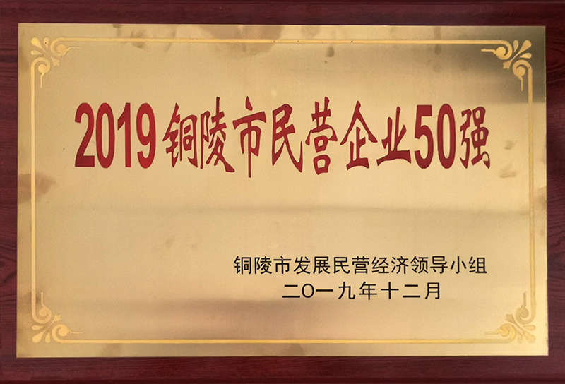 2019铜陵市民营企业50强