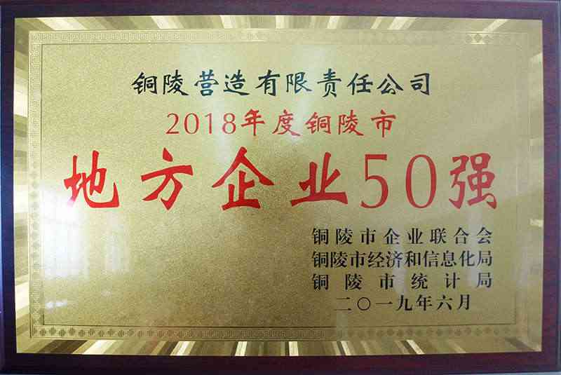 2018年度铜陵市地方企业50强