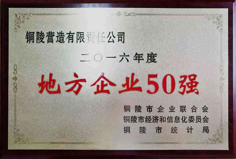 2016年铜陵市地方企业50强