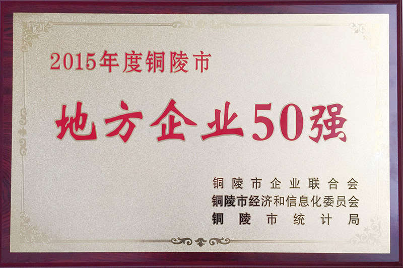 2015年铜陵市地方企业50强