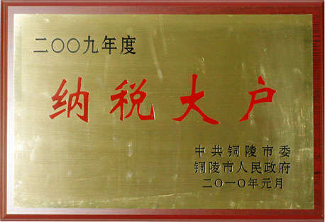 2009年度纳税大户